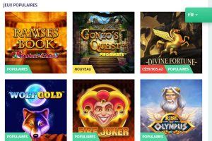 playojo casino français.